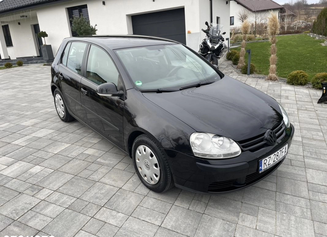 Volkswagen Golf cena 14000 przebieg: 175000, rok produkcji 2006 z Rzeszów małe 191